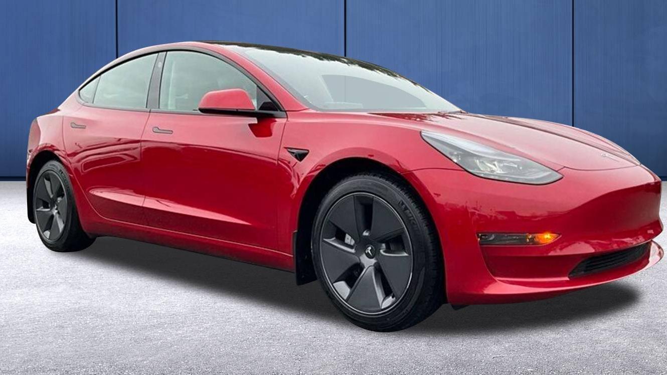 TESLA MODEL 3 2023 5YJ3E1EA1PF559834 image